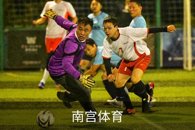 南宫体育公司简介